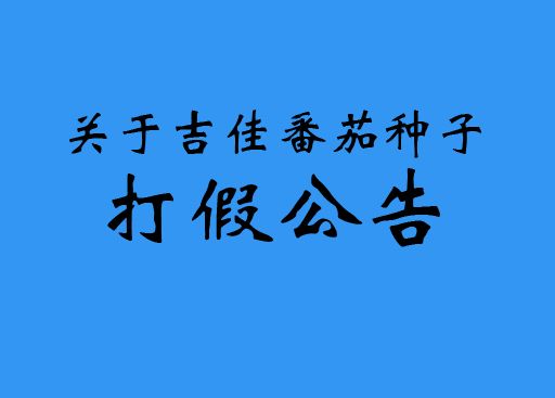 吉佳番茄種子打假公(gōng)告