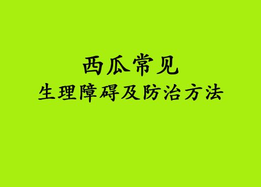 西瓜常見生理(lǐ)障礙及預防